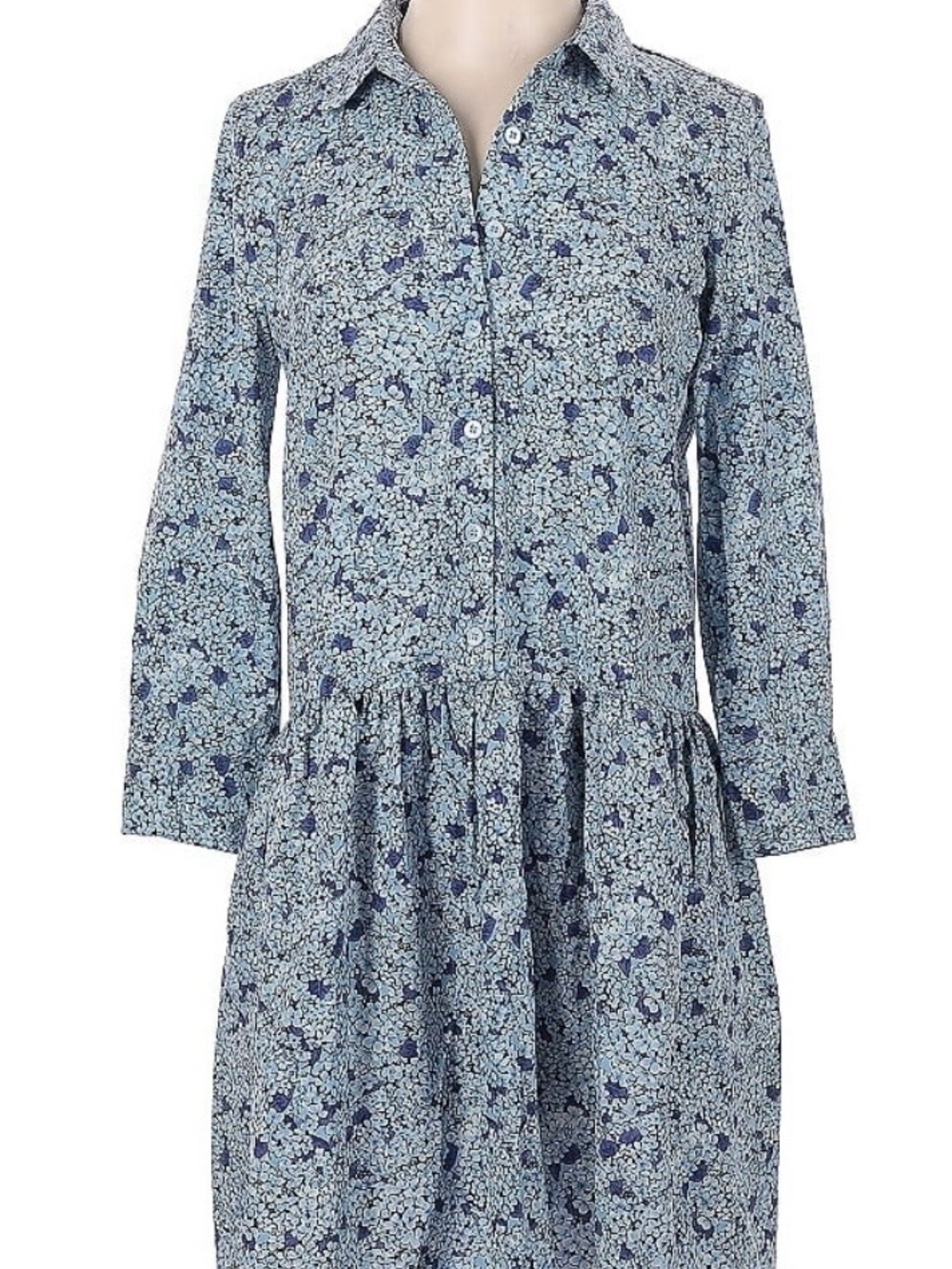 Tuckernuck Blue Floral Button-Front Shirt Dress
